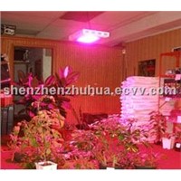 LED Grow Light