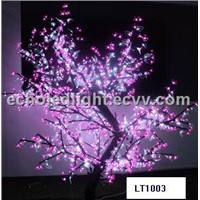 LED Decorative Lighting
