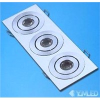 LED Ceiling Light
