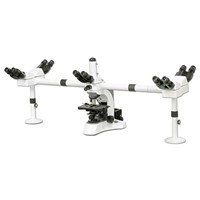 Multi-Head Viewing Microscope
