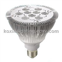 High Power LED Lamp (PAR38 9X1W)