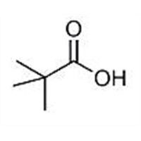 Pivalic Acid