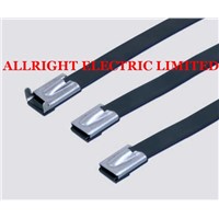 Plastic Sprayed Stainless Steel Cable Tie