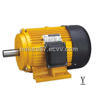 High EFF 100% Ouput Y Seres Electric Motor