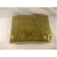 Sphagnum Girgensohnii P.E