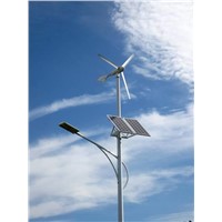 Wind Solar Hybrid Street Light (HS-2)