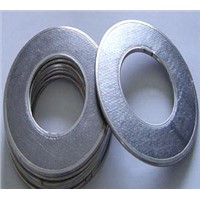 Expanded Graphite Gasket/Reinforced Graphite
