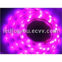 LED Flexible Strip