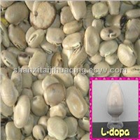 Levodopa; L-Dopa,Mucuna Extract