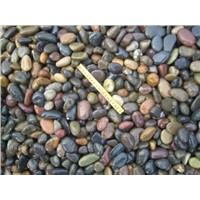Natural Multi Colour Pebble Stone