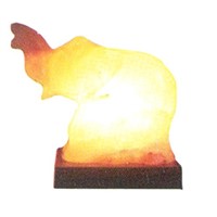 Animal Shape Salt Lamp with Wooden Base