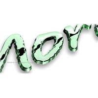 Car Emblem MORE in Green Color Chrome