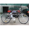 Steel Mountain Electric Bicycle (JSL-TDH038AFX)