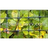 Plastic Mesh  Fencing