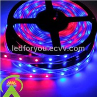 5050SMD RGB LED Strip Light (Waterproof)