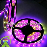 5050 Chips IP20 IP64 IP68 LED Strip