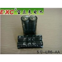 AA /LR6 Alkaline Battery