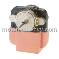 AC Motor