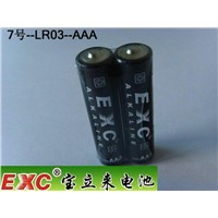 Alkaline Battery with Sample Supply (LR03)