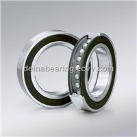 Angular Contact Ball Bearing (7210)