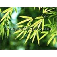 Bamboo Leaf Extract