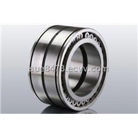 Full Complement Cylindrical Roller Bearings (SL04 Series)