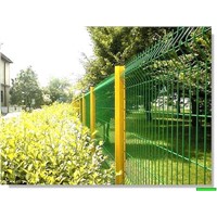 Glavanized Welded Wire Mesh