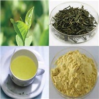 Instant Green Tea Powder