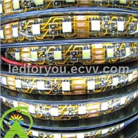 LED Strip Light/Energy Saving Lamp/Strip Ribbon/Strip Lighting