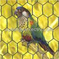 Anping PVC Coated Chicken Wire Mesh