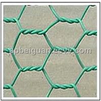 Anping PVC Coated Hexagonal Wire Mesh