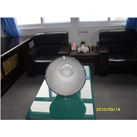 Electrodeless Discharge Lamp