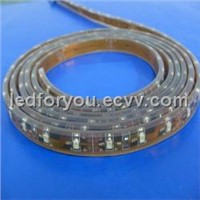 Encapsulated 12 Volt LED Strip Light