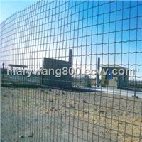 Holland Wire Mesh Fencing