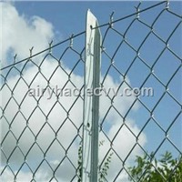 Metal Chain Link Fence (YZ-14)