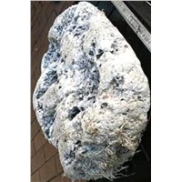 Whale Ambergris