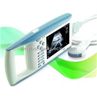 Digital Palmtop Ultrasound Scanner