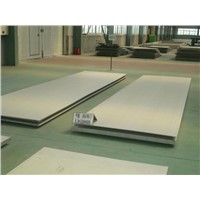 Stainless Steel Plate (304)