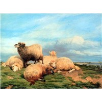 Animal Oil Painting - Landscape with Sheep