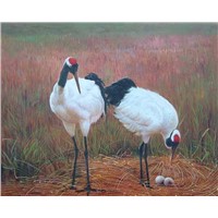 Birds Oil Paintings - Fine Birds Oil Paintings