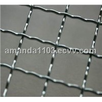 Crimped Wire Mesh (factory)