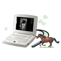 Digital Laptop Vet Ultrasound Scanner