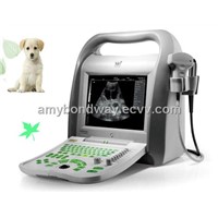 Digital Veterinary Ultrasound Scanner (BW550V)