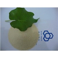 Medicinal Gelatin