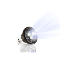 LED Lighting (PAR38)