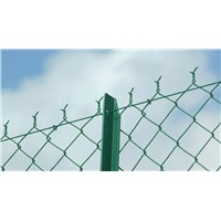 PVC Coated Chain Link Fence