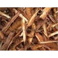 Pine Bark Extract