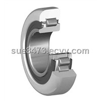 Radial Bearings for Inclined Mounting (MR Series)