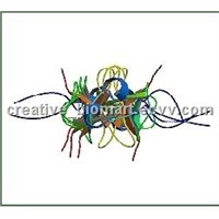 Recombinant Human Defensin, Beta 103A