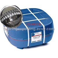 SKF Bearing